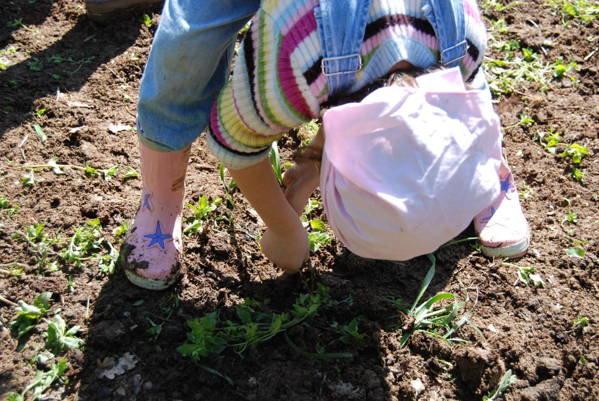 Ficulle Agriturismo Fattoria Walden מראה חיצוני תמונה