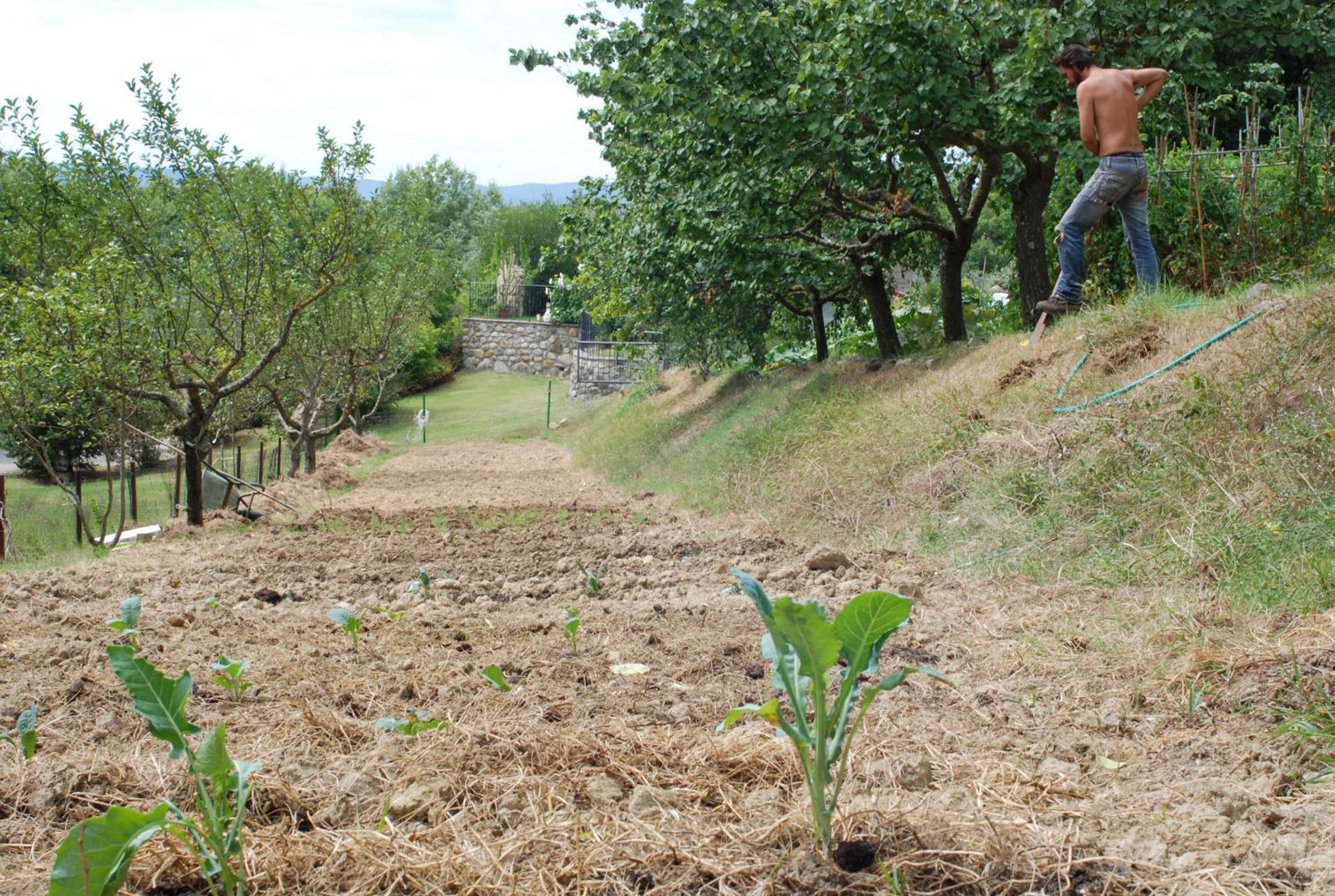 Ficulle Agriturismo Fattoria Walden מראה חיצוני תמונה