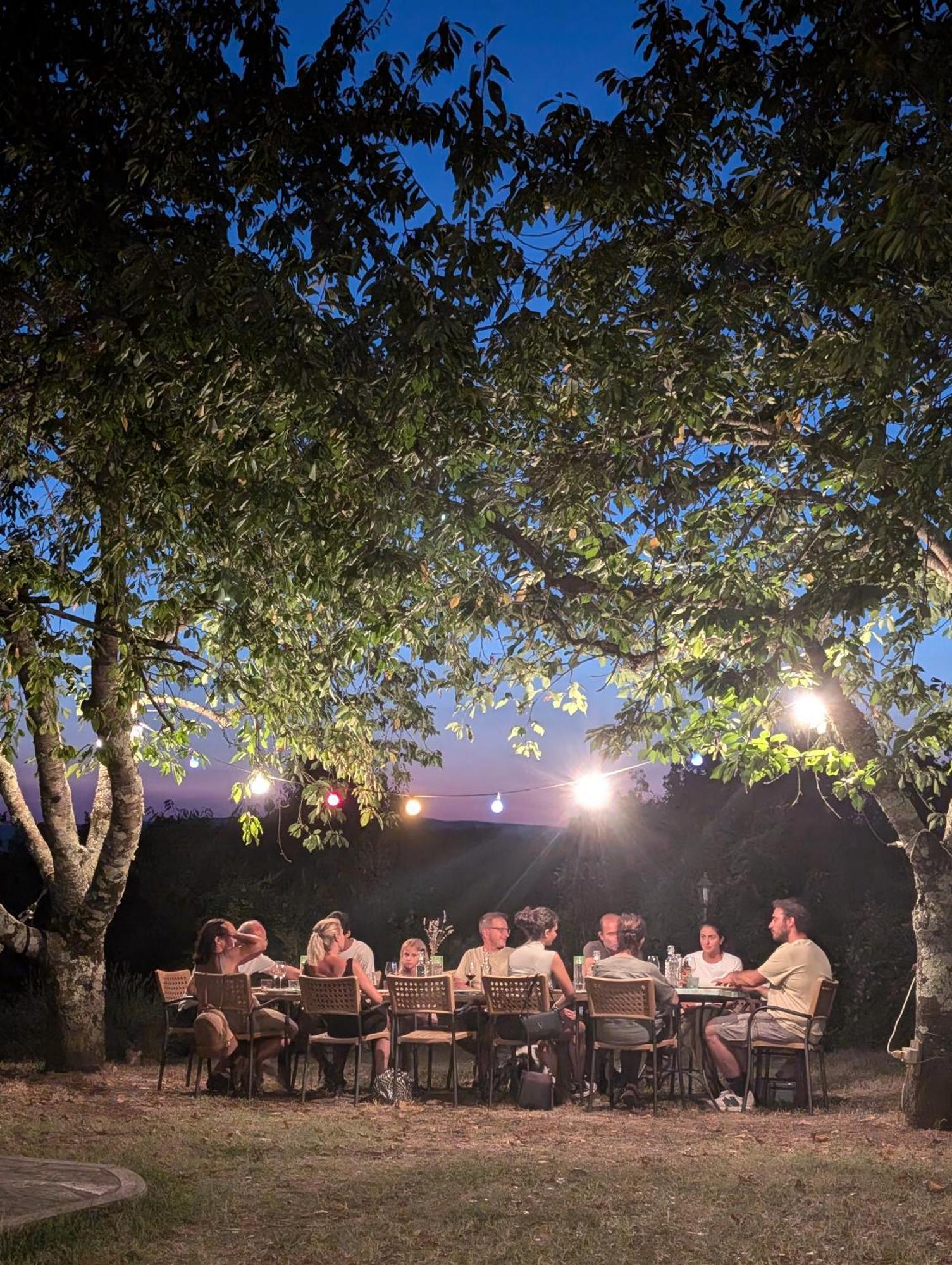 Ficulle Agriturismo Fattoria Walden מראה חיצוני תמונה